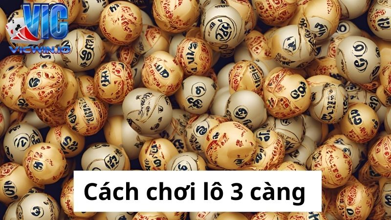 Cách chơi lô 3 càng cực đỉnh mà tân thủ cần biết