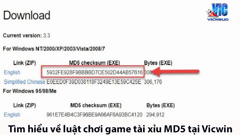 Cách kiểm tra mã md5 đơn đơn